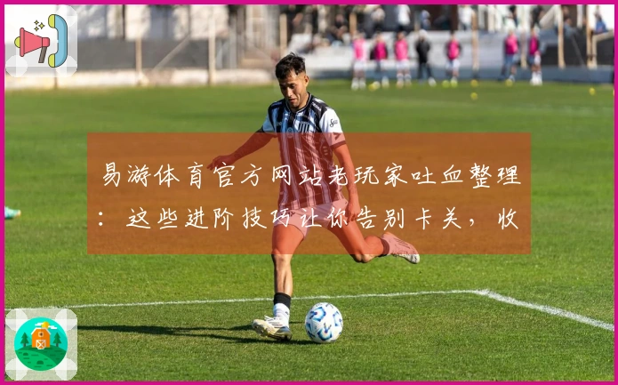 易游体育官方网站老玩家吐血整理：这些进阶技巧让你告别卡关，收益翻倍！