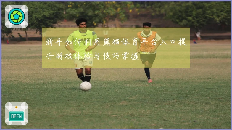 新手如何利用熊猫体育平台入口提升游戏体验与技巧掌握