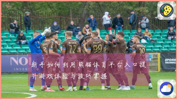 新手如何利用熊猫体育平台入口提升游戏体验与技巧掌握